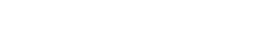 Wizflow logo